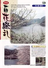 hana0 - from www.Japanese-Wonderland.com